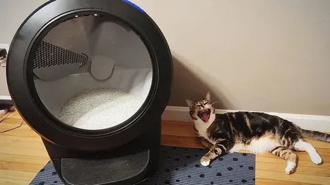 2022 New Self-Cleaning Cat Litter Box