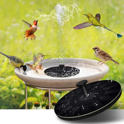 Hummingbird Fountain and Bionic Bird - Limited